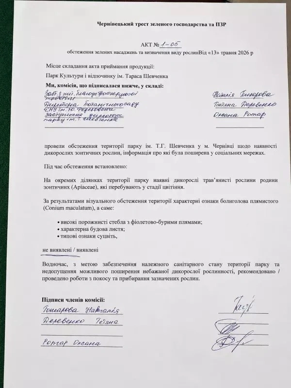 У парку Шевченка не знайшли отруйний болиголов: результати фахової перевірки в Чернівцях